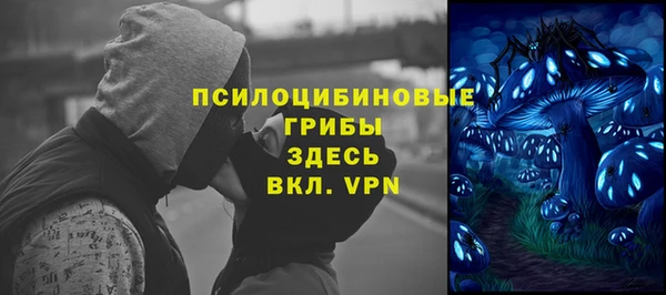 меф Медвежьегорск