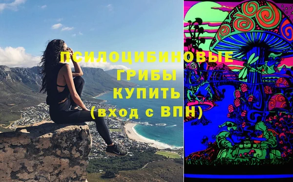 крисы Новочеркасск