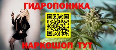 бошки Гатчина