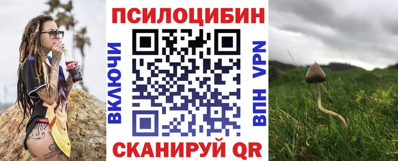 KRAKEN как зайти  Кемерово  Галлюциногенные грибы GOLDEN TEACHER  где можно купить  