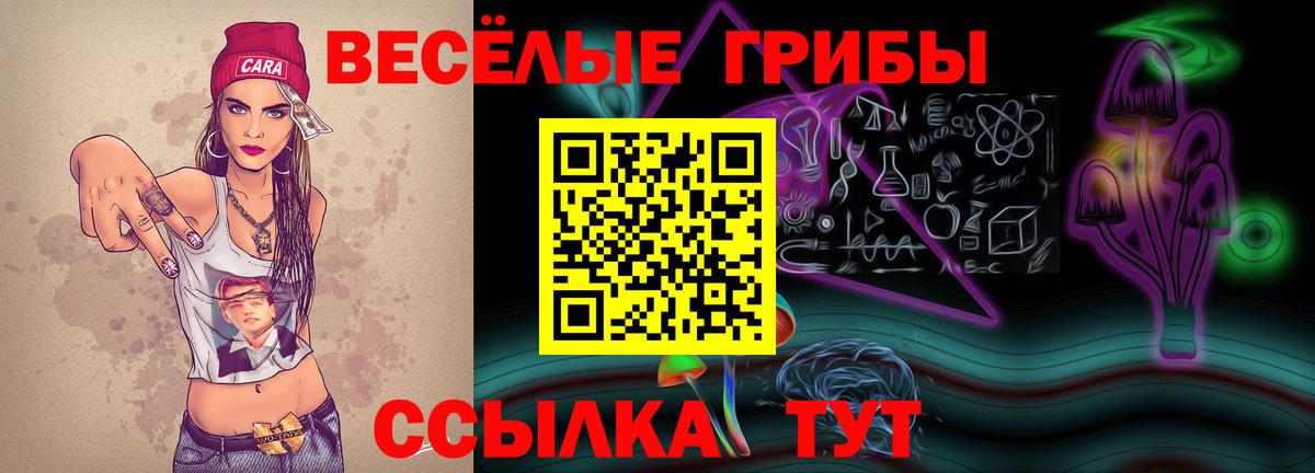 Галлюциногенные грибы GOLDEN TEACHER Кемерово