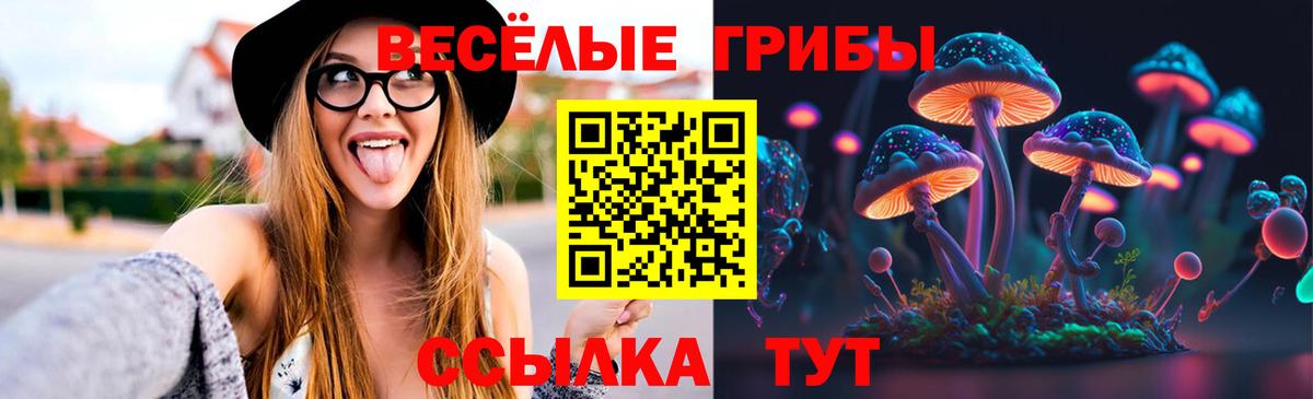 Псилоцибиновые грибы Psilocybine cubensis  Кемерово  Псилоцибиновые грибы Magic Shrooms 