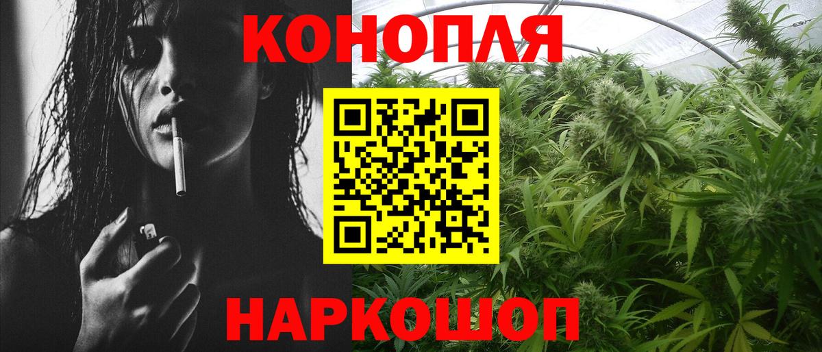 Канабис конопля  Бошки марихуана ГИДРОПОН  Конопля ГИДРОПОН  Вход с VPN  Конопля марихуана  Кемерово 